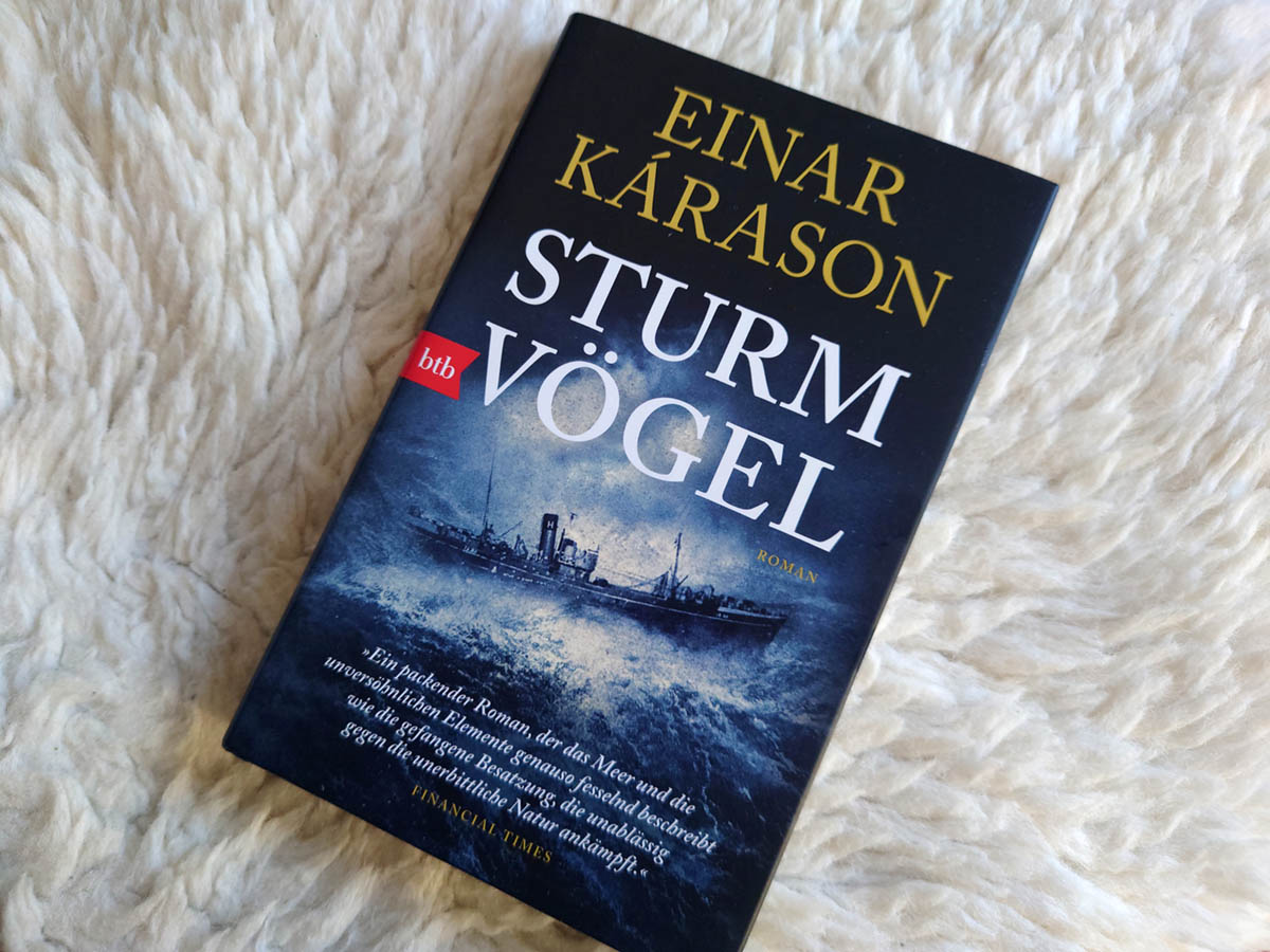 Buch, Sturmvögel, Cover, Einar Kárason