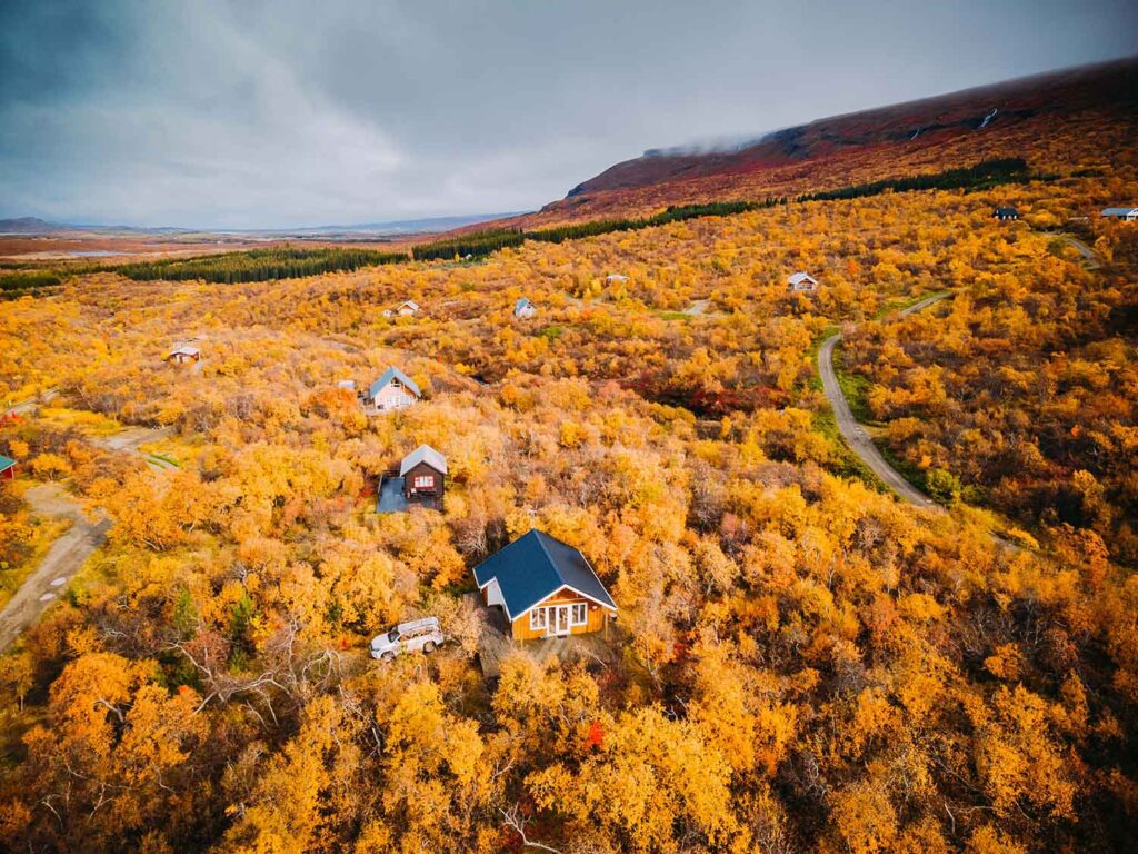 Europa, Island, Ostisland, b. Egilsstadir, Ferienhaus Huldusteinn, Wald, Herbst