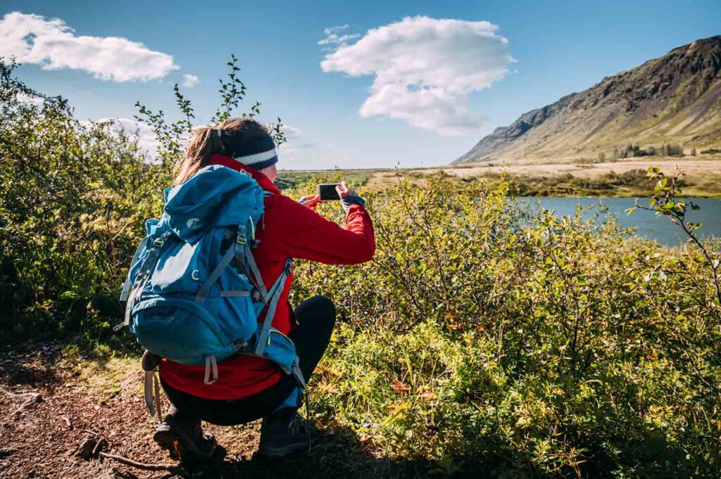 Golden Circle, Island, Prastarlundur, Þrastaskógur