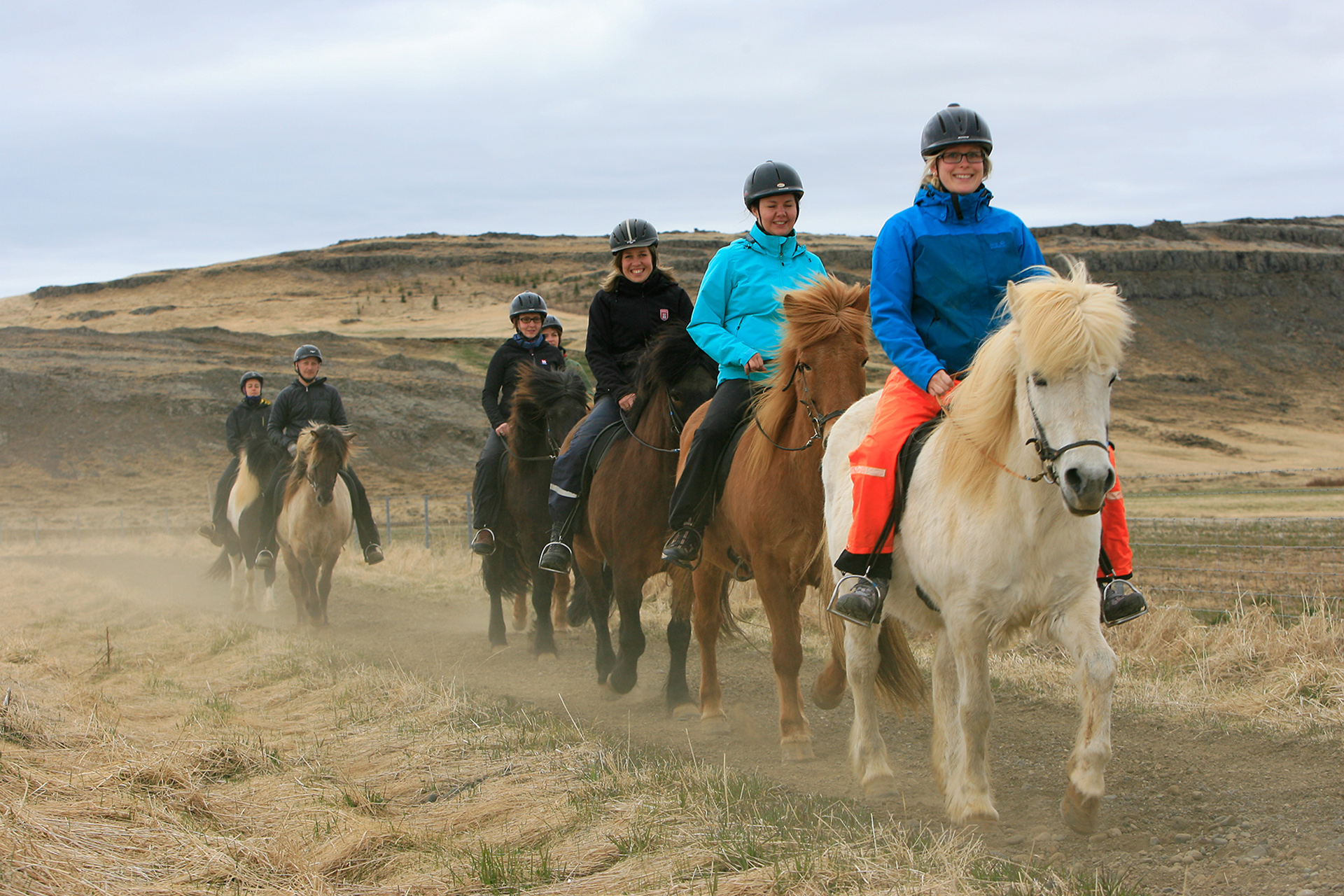 Reiter auf Islandpferden