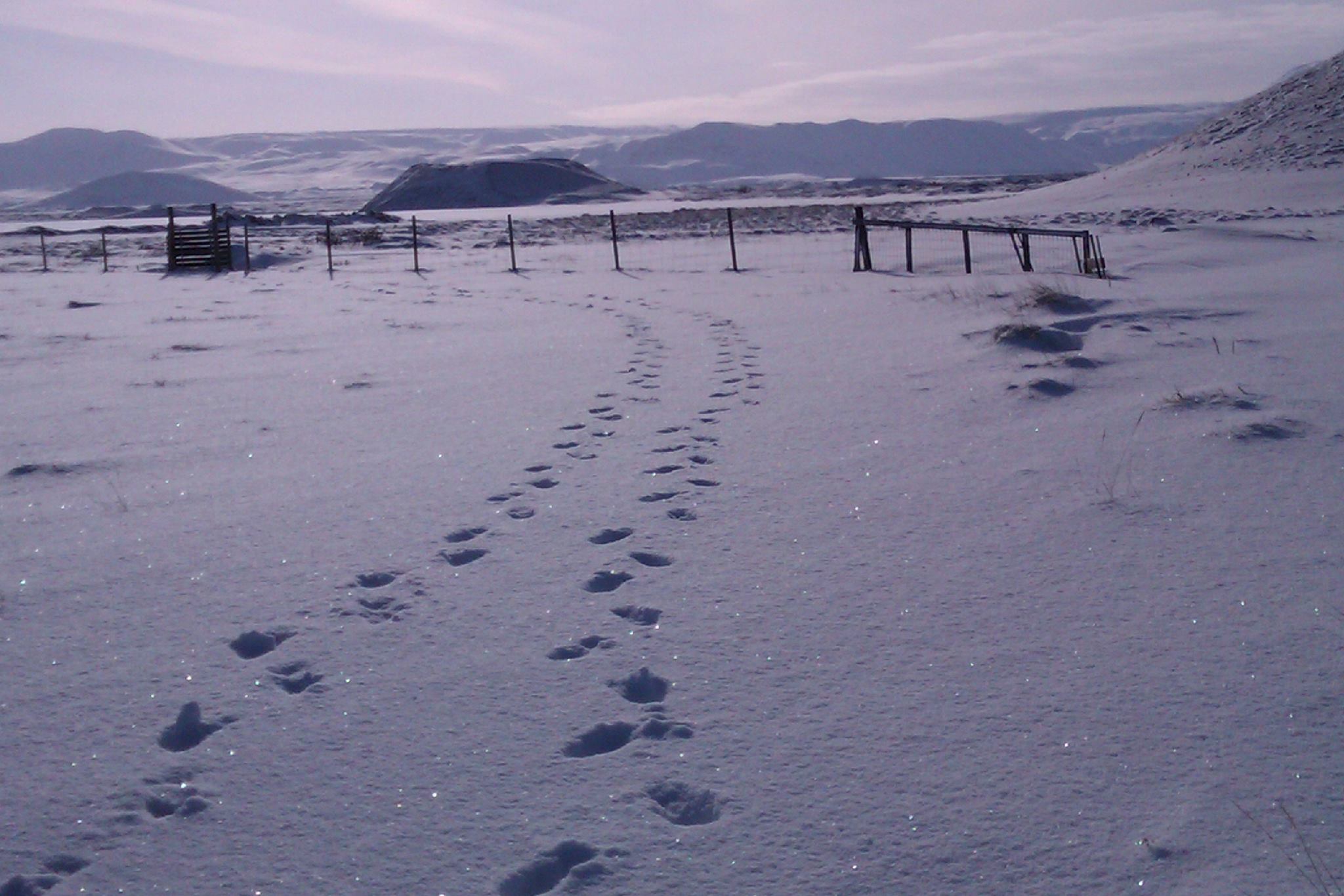 Island im Winter: Magische Schneelandschaften und der ein und andere besondere Brauch zeichnen die dunkle Jahreszeit aus.