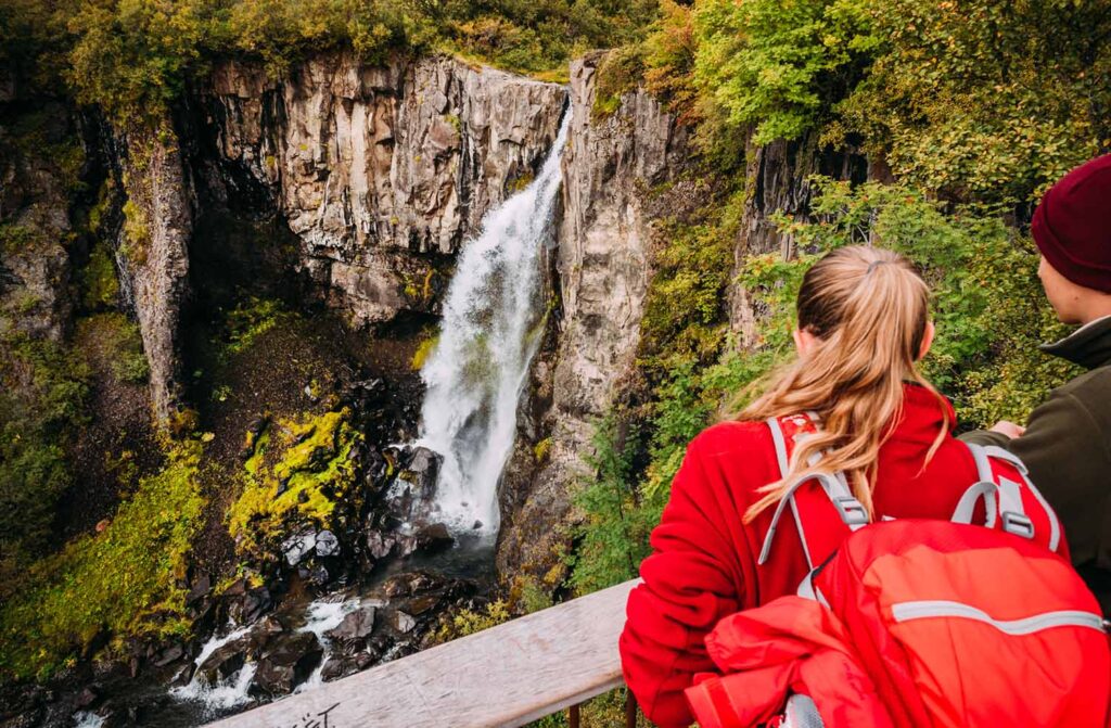 Wasserfall, Hundafoss, Wanderer, Skaftafell, Island